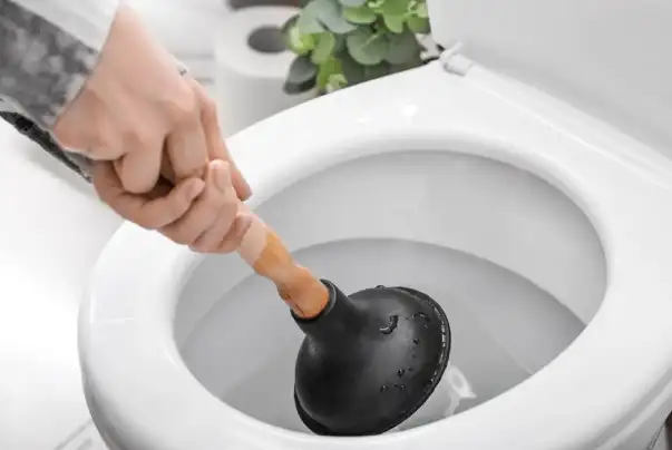 Clogged Toilets cleaning