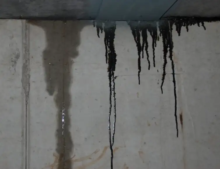 Burst Pipes and Leaks Repair in Surrey, Vancouver, and Surrounding area | Signs You May Have a Hidden Water Leak