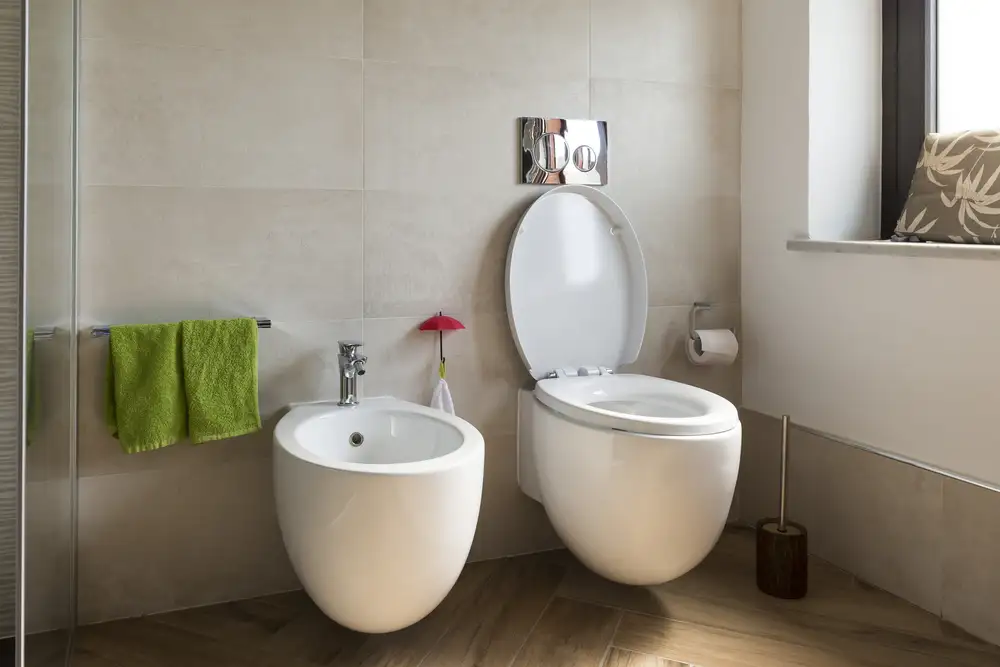 Homeowner 2025 Price Guide Toilet & Bidet Services