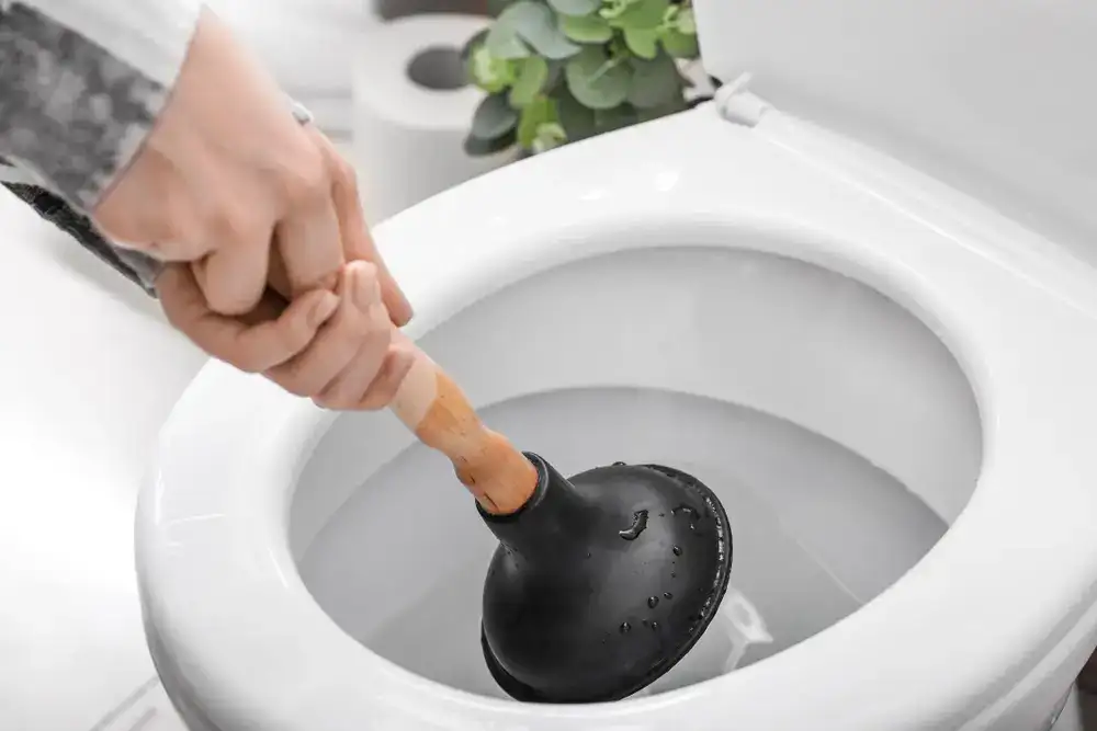 Professional Toilet Unclogging Services Clogged Toilet Cleaning Services in Surrey, Vancouver, and Surrounding area 24x7 Emergency Services
